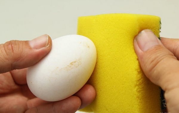 Подготовка яиц к инкубации. Советы, рекомендации с фото и видео