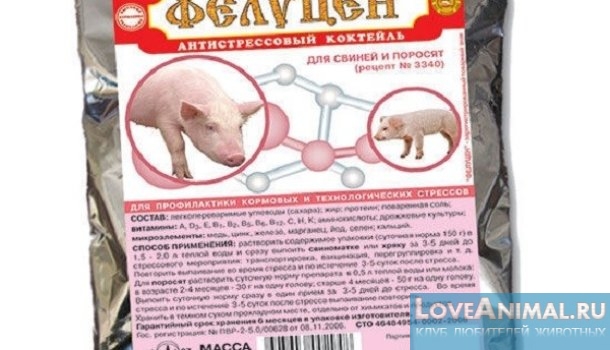 Препарат Фелуцен для свиней. Обзор, инструкция, описание с фото и видео