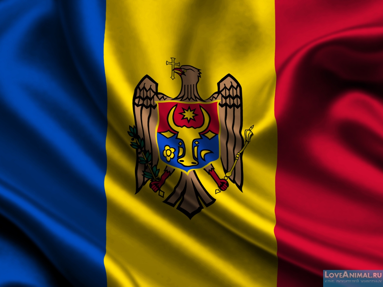 Закон Республики Молдова "О животном мире". Часть 4