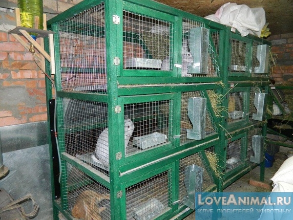 Клетки для кроликов из сетки. Описание, чертежи и видео